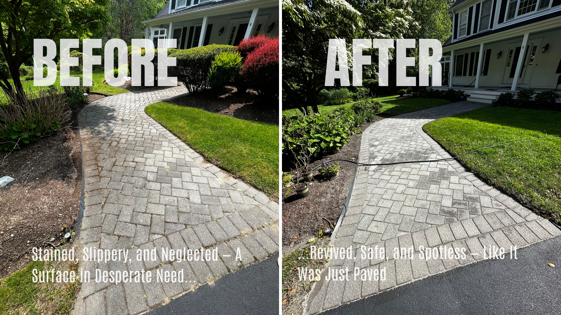 Descripción de la imagen